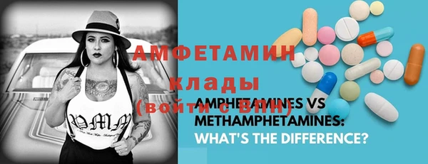мет Алексин