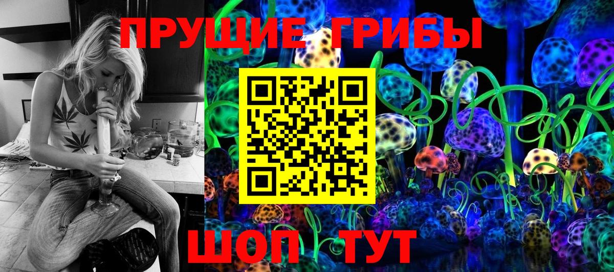 Псилоцибиновые грибы GOLDEN TEACHER  Вход с VPN  Глазов 